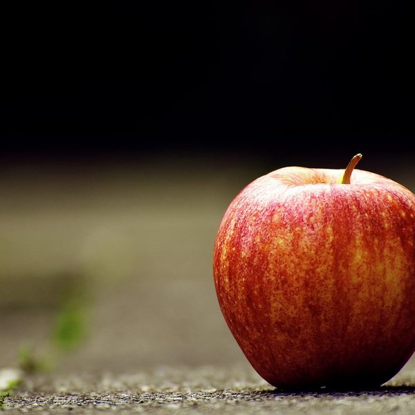Inspirace – obraz ke kurzu malování